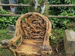 -海口火山口国家地质公园