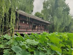 -老桂湖公园-杨升庵博物馆