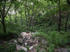 -大岭沟猕猴桃谷风景区