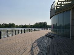 -大兴滨河森林公园