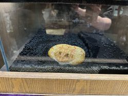 -Zoolung Zoolung动物主题公园(海信广场店)