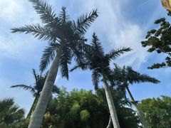 -上海玛雅海滩水公园