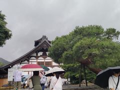 -天龙寺