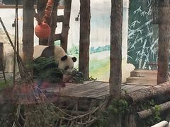 -太原动物园