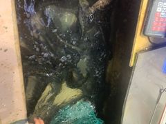 -重庆乌鱼庄·龙滋鲜(青羊大道店)
