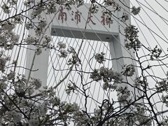 -南浦大桥长途旅游客运站
