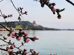 -颐和园