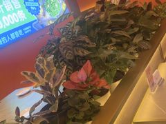 -夯鱼烤鱼·尔滨地标美食(国展店)