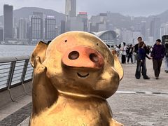 -星光大道