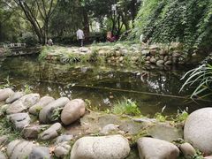 -成都市活水公园