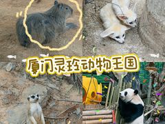 -灵玲国际马戏城