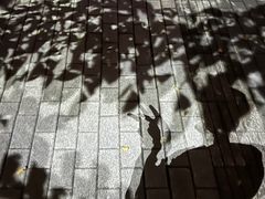 -深圳人才公园