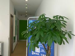 -天使口腔门诊部(上海店)