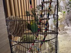 -云中漫步·足疗养生会馆(金开店)