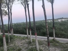 -南湖湿地公园