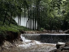 -洛阳白云山景区