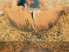 -幸福蓝海国际影城(扬名IMAX店)