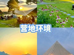-栖露营camping·天幕烧烤·团建拓展·采摘营地
