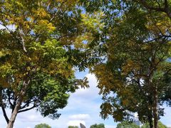 -上海海事大学(临港校区)