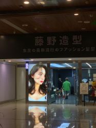 点击看大图 -藤野造型