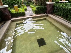 -大连金石滩绿发温泉假日酒店