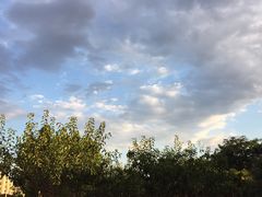 -南开大学滨海学院