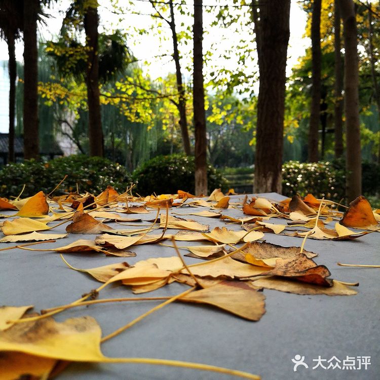 熏仔在杭州|杭州朝晖文化主题公园打卡攻略