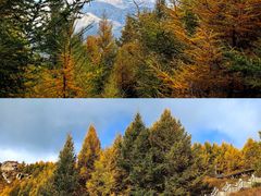 -苏木山森林公园