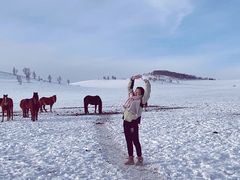 -塞罕坝国家级自然保护区