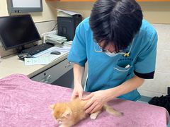 -动物缘宠物医院·骨科·猫科(西二环店)