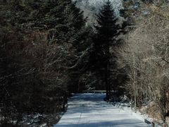 -白马王朗自然风景区