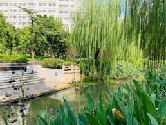 -兰溪青年公园