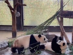 -野生动物园-停车场