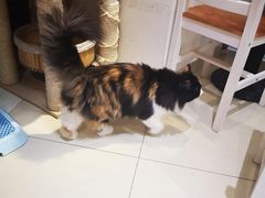 -小时光咖啡馆(开森度假森林店)