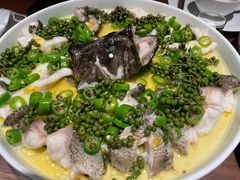 青青椒麻龙胆鱼-CHIC1699远洋私厨