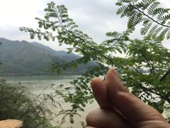 -羚羊峡古栈道森林公园