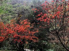 -敬亭山风景名胜区