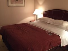 -成都天府丽都喜来登饭店