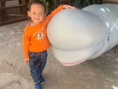 -贝壳王国博物馆
