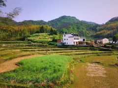 -灵山景区梯田