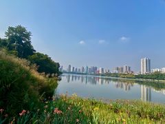 -南宁南湖公园