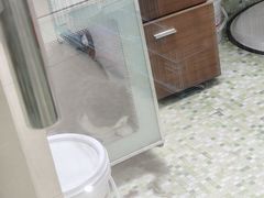 -瑞鹏宠物医院·微创内窥镜·骨外科·牙科(翠竹分院)
