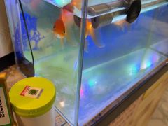-桃子餐厅·天津菜(红星路直营店)