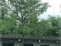 -开平碉楼文化旅游区马降龙景区