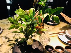 -绿茶餐厅(乐峰广场店)