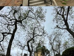 -青岛市江苏路基督教堂