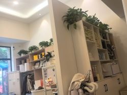 -妍理·植物养发