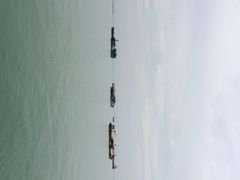 iphone_upload_pic-姓氏桥