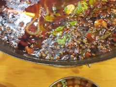 -鸿顺老铁锅美蛙鱼府(解放碑店)