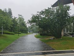 -思念果岭悦温泉